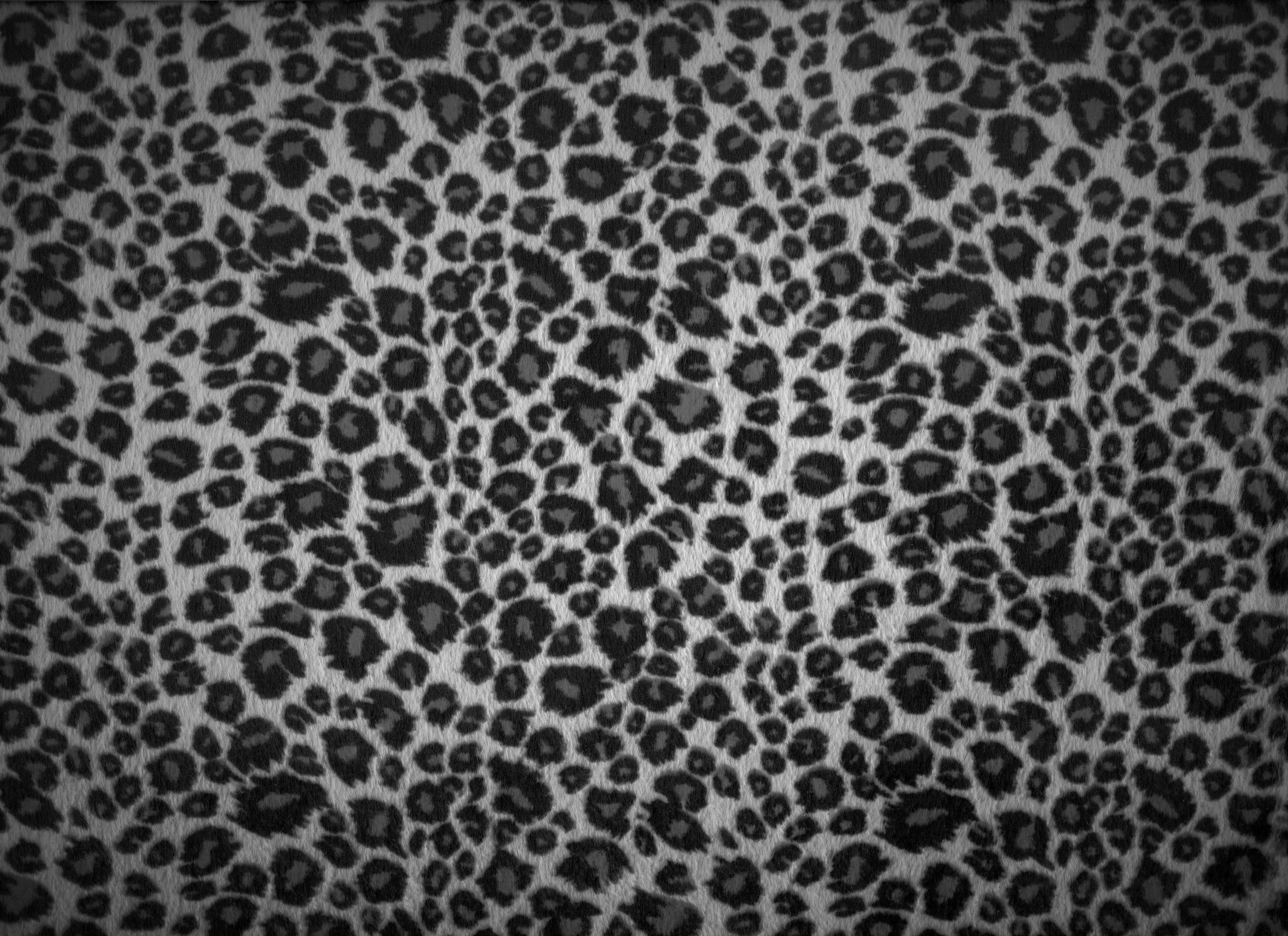 Черно-белая леопардовая расцветка